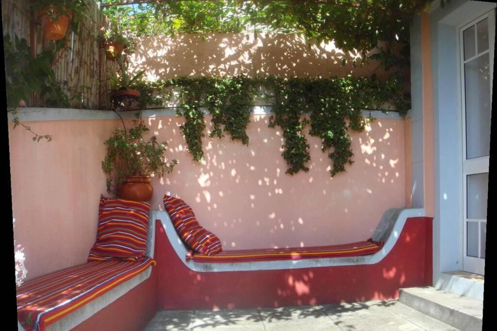 Raposeira De Sao Joao, The Feeling Of Peace, Space And Quiet, Whole Villa Is Yours Fajã da Ovelha Dış mekan fotoğraf