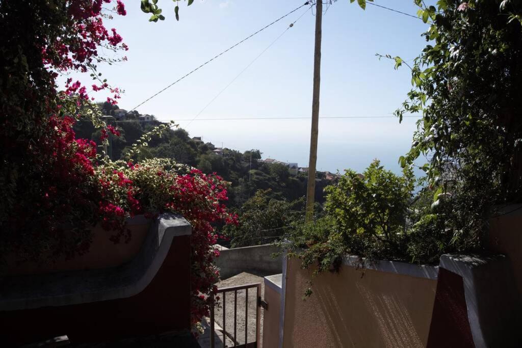 Raposeira De Sao Joao, The Feeling Of Peace, Space And Quiet, Whole Villa Is Yours Fajã da Ovelha Dış mekan fotoğraf